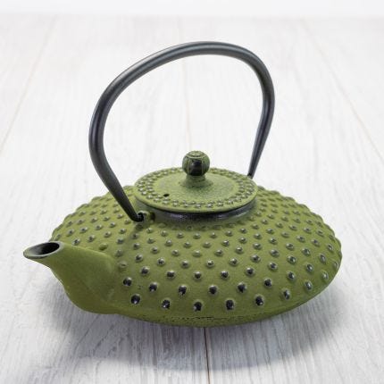 Garden Green Xilin Cast Iron Teapot