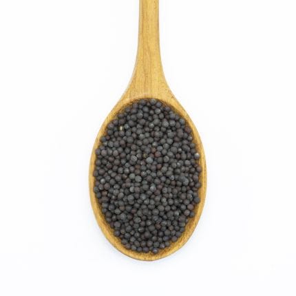 Mustard - Black Seed